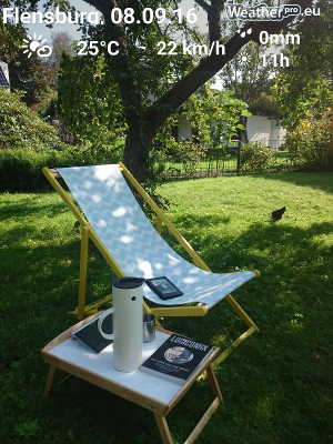 Urlaub: Lesen im Garten in der Sonne bzw. Schatten