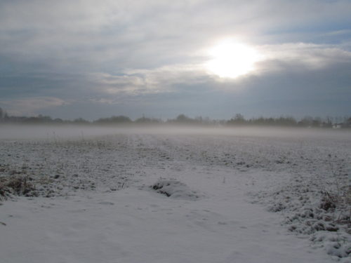 Schnee-Nebel