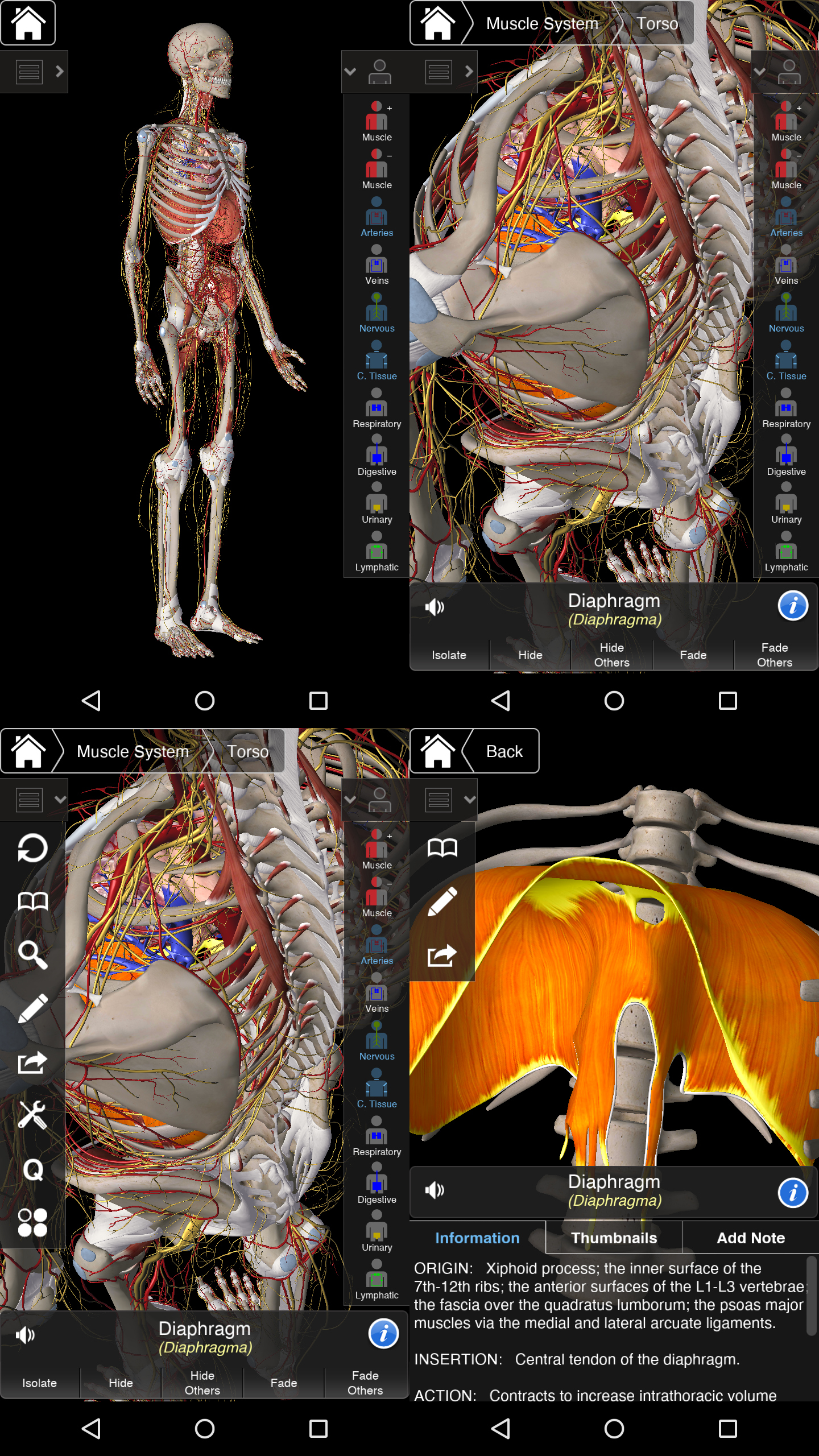Essential Anatomy 5.0.5 download